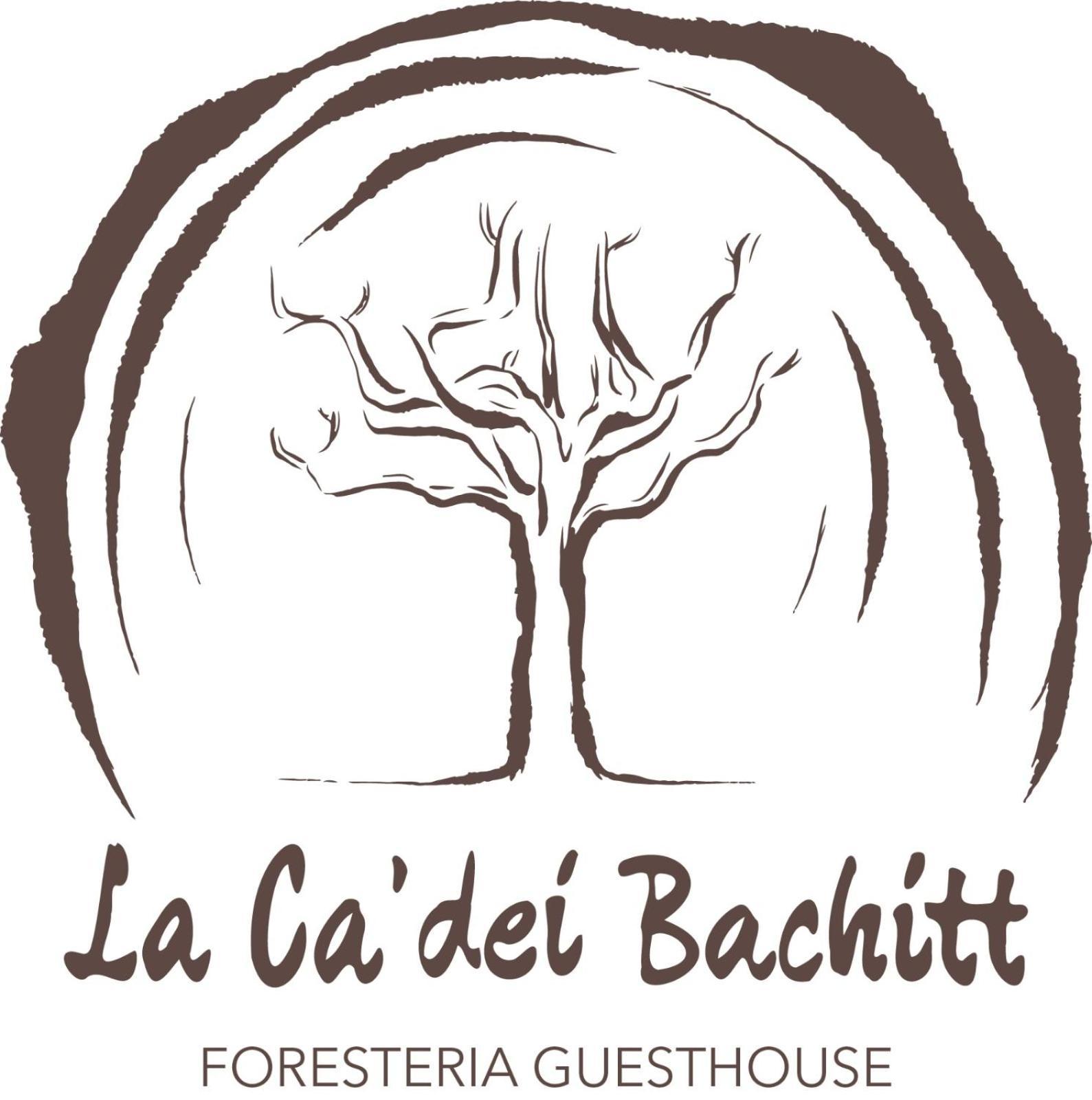 Foresteria Guesthouse Ca' Dei Bachitt Lierna Exterior foto